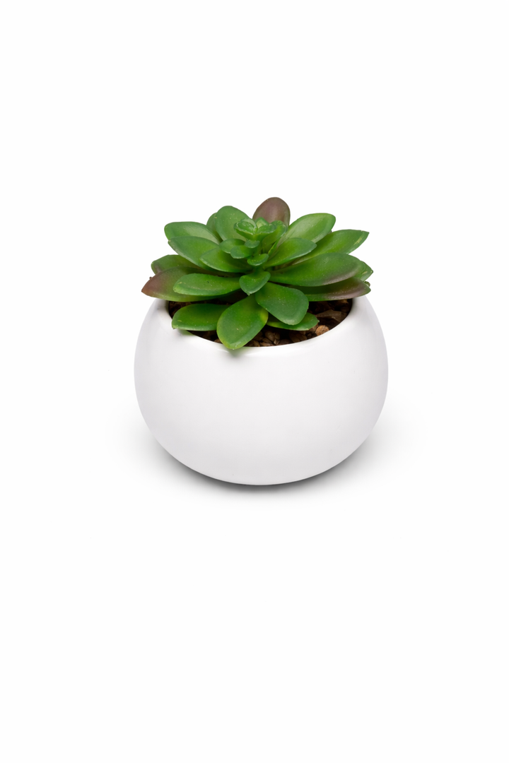 White Spherical Ceramic Planter Succulent Small Plant Pots Indoor Modern Round Decorative Indoor-Outdoor Garden Plant Pots with Drainage Holes - Plants Not Included 3.94 x 3.94 x 3.15 Inch