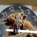 XNM Western Highland Cow Clock for Living Room Glass Large Wall Clocks Battery Operated 16 Inch Funny Animal Brown Wall Clock Silent