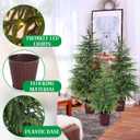 Cinnyvoice Set of 3 Pre-lit Potted Christmas Tree with led, 2 ft, 3ft,4 ft