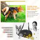 Dog Lift Harness, Dog Support & Recovery Sling for Full-Body & Hind/Front Leg Pee-Able Design for Large/Medium Dogs All-in-One Ideal Assistance for Senior, Disabled, Arthritic & ACL Canines (L)