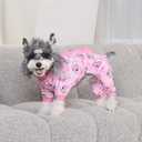 CuteBone Dinosaur Costume Dog Pajamas, Stretchy Spandex Crystal Velvet Sleepwear Coat for Small Dogs, Soft & Warm Pet Outfit Clothes for Cold Weather, Cozy Pullover Design COSP09M, Medium