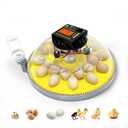 PETUX Incubators for Hatching Eggs - 24 Egg Incubator with Automatic Egg Turning, Humidity and Temp Control - 5 Modes for Chicken, Bird, Quail and Duck Eggs - Ideal for Farmers, Educators and Families (Yellow)