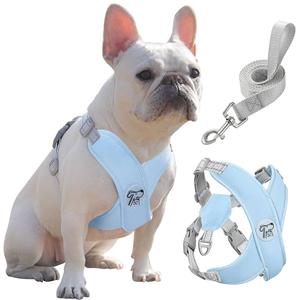Pawaboo Small Dog Harness and Leash Set, Puppy Harness X-Frame No Pull No Choke, Dog Vest Harness Adjustable for Small Medium Sized Dogs, Soft Breathable Pet Harness for Walking Outing (S, Blue)
