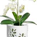 vensovo 6 Inch Orchid Pot with Holes and Saucer - White Ceramic Orchid Planter for Repotting, Flower Pot for Indoor/Outdoor Plants (1 Pack)