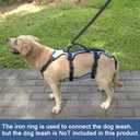 Coodeo Dog Lift Harness, Support & Recovery Sling, Pet Rehabilitation Lifts Vest Adjustable Breathable Straps for Old, Disabled, Joint Injuries, Arthritis, Paralysis Dogs Walk (Blue,M)