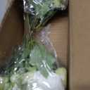 2 Bundles Artificial Peonies Silk Flowers, White Faux Peony Bouquet Florals Arrangements Decor for Farmhouse Home Boho Wedding Table Centerpiece, Fake Plastic Flowers Bulk Vase Decoration (White)