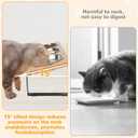 2 Set Elevated Cat Food Water Bowls, 6 Stainless Steel Bowls, 15 Tilted Raised Cat Bowl Set, for Indoor Cats for Small Cats and Puppies Pet Bowls with Stand