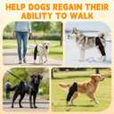 Dog Knee Brace for Hind Leg Adjustable Rear Leg Support with 2 PP Resin Bars, Helps Torn ACL, Ligament Injuries, Luxating Patella & Hip Dysplasia Recovery for Left/Right Hind Leg (S)