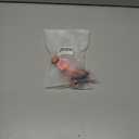 2 x Kazazoo Dog Collar Cute and Soft Nylon Puppy Collar Girl, Adjustable Dog Collars for Medium Large Dogs, Sweet Heart-L