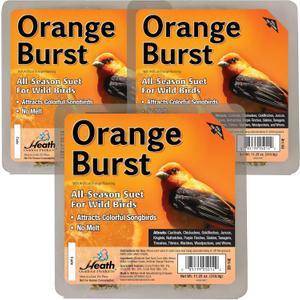 Heath Outdoor Products Orange Burst Suet Cakes Sample Pack, Contains 3 Suet Cakes, Try It, Your Birds Will Love it, for Woodpeckers, Cardinals, Siskins, Sparrows, Finchs & Many More Wild Bird Species