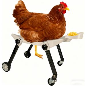 Medium-Scale Pet Chicken Wheelchair - Adjustable Mobility Aid Cart for Injured/Disabled Poultry, Comfortable Fit to Support Free Movement, Ideal for Medium-Sized Pet Chickens