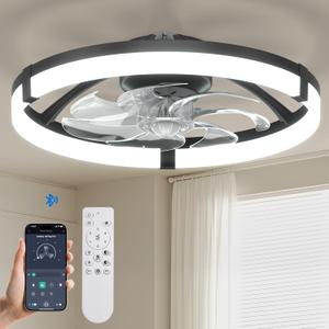 Passky 20 Low Profile Ceiling Fan with Lights and Remote, Dimmable LED Flush Mount Fandelier, 6 Speeds, 3000K6000K, Black Modern Ceiling Fan for Bedroom