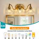 hesoge Vintage Bathroom Light Fixture Brushed Gold Vanity Light with Crystal Glass Shade Antique Brass 3 Light Bathroom Light Over Mirror