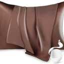 100% Pure Mulberry Silk Pillowcase for Hair and Skin, Queen Size 20*30 Cooling Silk Pillow Case by Zipper Closure, Smooth and Soft Dual Sides Silk Pillow Cover for Women. (Coffee, Queen-1 Pcs)