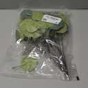 KALIONE 12 Pcs Artificial Silver Dollar Eucalyptus Leaves Picks Stems and Faux Branches with White Seeds, 11.4'' Decoration Greenery Stems Plants for Vase Bouquets, Flower Arrangement