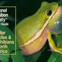 National Audubon Society Pocket Guide to Familiar Reptiles and Amphibians