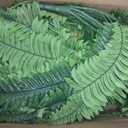 2PCS 45in Fake Ferns- Large Artificial Plants Outdoor, UV Resistant Artificial Ferns for Outdoors, 60 Branches Faux Boston Fern Realistic Weatherproof Fake Plants for Porch Home Patio Hanging Decor