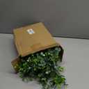 DearHouse 4 Pack Faux Eucalyptus Garland Plant, Artificial Vines Hanging Eucalyptus Leaves Greenery Garland for Wedding Backdrop Arch Wall Decor, 6 Feet/pcs UV Protected Indoor Outdoor