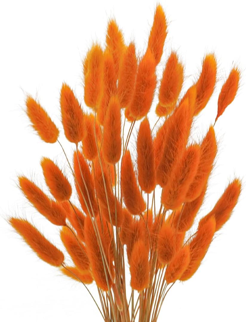 Uieke 120 Pcs Natural Bunny Tails Dried Flowers, 17 Dried Lagurus Ovatus, Orange Fall Dried Flowers for Fall Floral Arrangements Wedding Centerpieces Home Baby Shower Party Decorations