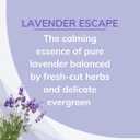 Citrus Magic Odor Absorbing Solid Air Freshener, Lavender Escape, 8 Ounce (Pack of 3)
