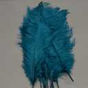 10pcs Large Turquoise Ostrich Feathers 16-18 inch Fluffy Feather for Crafts Home Party Decoration Wedding Centerpieces Clothes Vase Decor