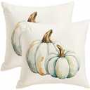 Fall Pumpkin Throw Pillow Covers, 18x18 Inches, Set of 2, Orange and Black Striped Farmhouse Decor, Thanksgiving Holiday Cushion Cases