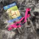 PETSAFE PET SAFE EASY WALK NO PULL HARNESS~ SMALL- RASPBERRY/GRAY