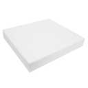 19" W x 20" L Upholstery Foam Cushion High Density (Chair Cushion Square Foam for Dinning Chairs, Wheelchair Seat Cushion Replacement) - Made in USA (2.5x19x20),White