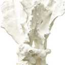 Blue Ribbon EE-1765 Exotic Environments Lettuce Coral Aquarium Ornament, White