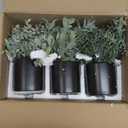 3 Pack Small Fake Plants for Shelf Decor Accents with Ceramic Pot Artificial Potted Plants for Rustic Farmhouse Decor Faux Plants Indoor Fake Potted Plants Artificial for Home Office Bookshelf Decor