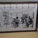 Americanflat 20x28 Picture Frame with Polished Plexiglass - Use as 16x24 Frame with Mat or Display 20x28 Photo Without Mat - Hudson Collection - Wide Picture Frames for Wall Display - Mahogany