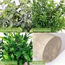 Artificial Plants 3 Pack Mini Fake Hanging with Macrame Plant Hangers Decorative Faux Greenery Decor for Shelves Wall Kitchen Farmhouse Bathroom Home Office