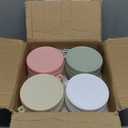 4 Pack Overnight Oats Containers with Lids and Spoons, 16 oz Glass Mason Jars with Airtight Lids, Overnight Oats Jars for Milk, Cereal, Fruit (Light Colors)