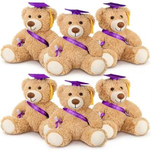 Aoriher 6 Pcs Class of 2026 Gifts Graduation Teddy Bears, 14 Inch Khaki Cute Soft Plush Stuffed Bears Animals with Cap, Diploma, Congratulations Sash, End of Year Gift for Kids Girl Boy Adult(Purple)