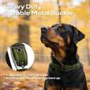 PetiFine Dog Collar for Large Dogs, Neoprene Padded and Adjustable, Reflective Wide Heavy Duty Pet Collars with Durable Metal Belt Buckle for Walking, Green, L