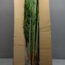 Artificial Palm Tree 6ft Tall Fake Palm Tree Indoor Decor with 18 Leaves and Real Bark Design Faux Tropical Areca Palm Silk Floor Plant in Pot for Home Office Living Room Bedroom Decor 1pcs