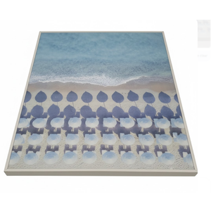 DI CA 30x22 Aerial Ocean View