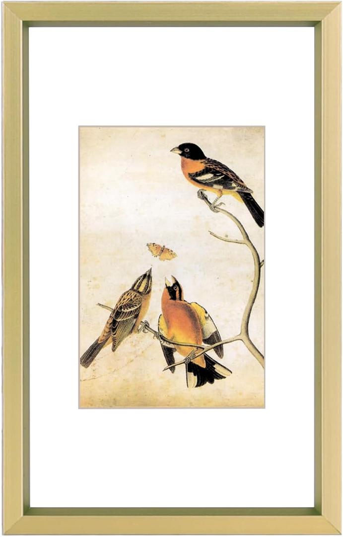 3x5 Picture Frame, Brass Metal Photo Frames with HD Glass, Fits 2x3 with Mat or 3 x 5 without Mat, Display for Wall and Table, 1 Pack