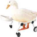 Pet Ducks Wheelchair - Adjustable Mobility Aid for Small AnimalsAdjustable Height for Comfortable Use Mobility Aid Cart with All-Terrain Wheels.