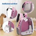 Vivicreate Large Cat Backpack Carrier for Travel and Hiking Transparent Pet Bubble Backpack for Cats up to 20lbs with Ventilation and Padded Straps Mochila (Pink)