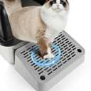 Cat Litter Box Ramp, Litter Box Step Mat with Filter Function, Cat Litter Catcher for Self-Cleaning Litter Boxes, Cats Pedal Stool Ideal for Kitten & Elderly Cats (Light Grey)