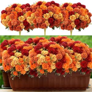 12 Pcs Artificial Fall Flowers Faux Mums Burnt Orange Flowers Assorted Fake Silk Mums Chrysanthemums Bouquet Fall Marigold for Vase Table Floral Arrangement for Wedding Home Outdoor Autumn Decorations