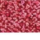Renaiss 10x7ft Pink Red Rose Backdrop Flower Wall Wedding Photography Background Mother's Day Valentines Bridal Shower Girls Birthday Ceremony Party Decor Banner Floral Photo Studio Booth Props
