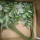 HyeFlora 5PCS Artificial Eucalyptus Leaves Stem Plants for Spring Decor, 32.7 inch Fake Leaves Greenery Branches Green Shrubs Silk Faux Foliage DIY Stems for Festival Home Kitchen Farmhouse(Green)