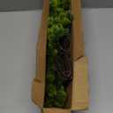 6 Pack Artificial Christmas Pine Needles Branches,20'' Fake Evergreen Pine Sprigs Picks for Christmas Tree, Artificial Cedar Sprigs for Garden Wedding Home Outdoors Indoors Decorations (Green)