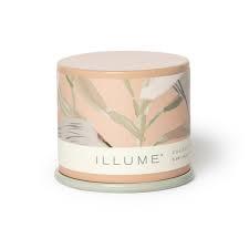 Candle Coconut Milk Mango Vanity Tin