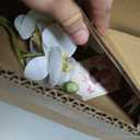 Dolly Parton White Artificial Orchid in Pink Ceramic Pot, 9.8x5.5x24 Inch