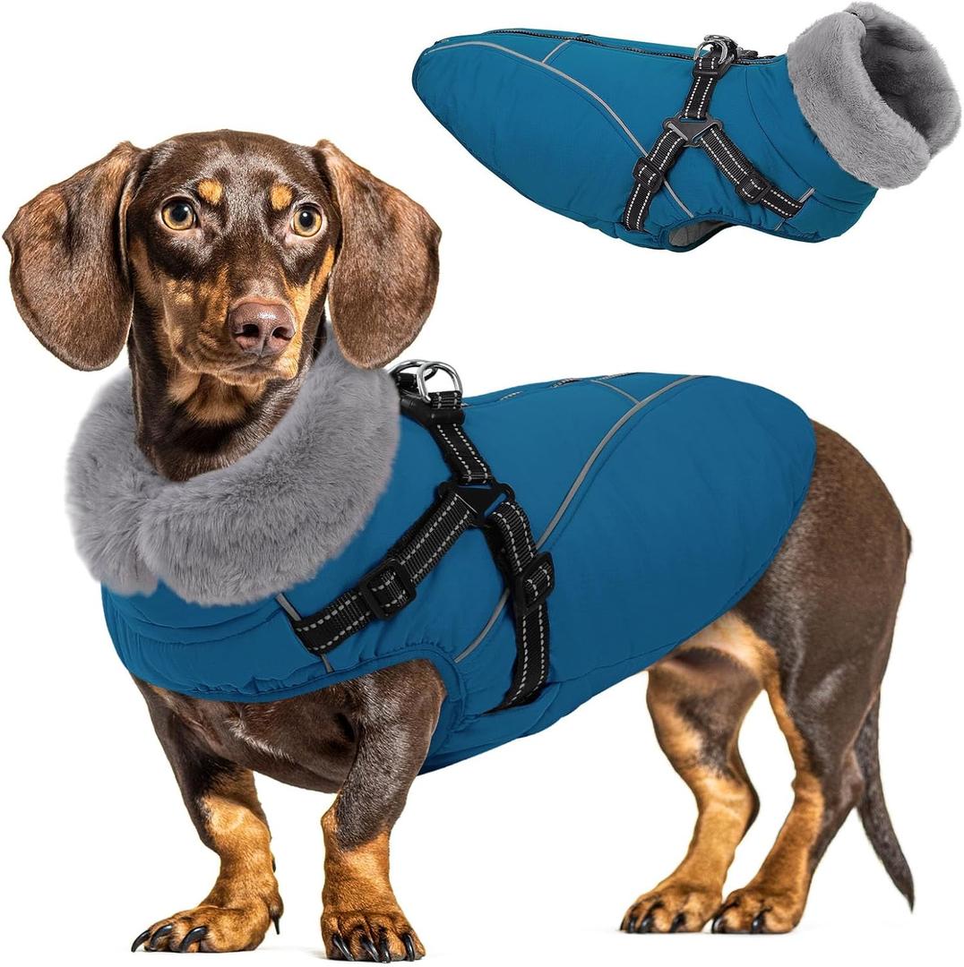 Queenmore Dog Coat,Windproof Dog Coat for Medium Dogs,Dogs Jackets with Harness Built in,Waterproof Doggy Coats with Zipper On Back,Reflective Cold Weather Coats for DachshundBoston Terrier,Blue,M