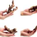 Small Natural Driftwood for Aquarium Styling Carefully Selected Natural Aquarium Decor Driftwood for Reptile Tank Reptile Tank Wood Decor (Driftwood 6-8 inch 3pcs)