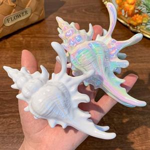 BARTOSI Shell Claw Clips Conch Hair Clips Large Hair Claw Barrette Mermaid Hair Accessories for Women and Girls (Pack of 2)